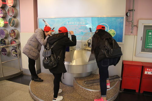 樂(lè)于探索，熱愛(ài)科學(xué) 酒店管理系青年志愿者赴科技館開(kāi)展專業(yè)融合之旅